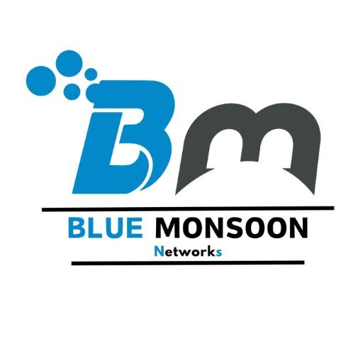 CONTACT US - BLUE MONSOON NETWORKS